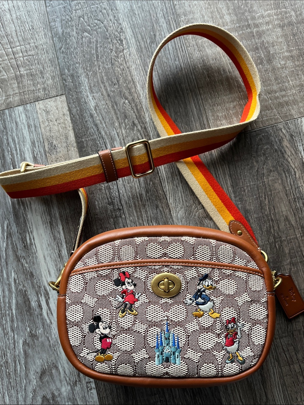 COACH | DisneyxCoach Camera Bag